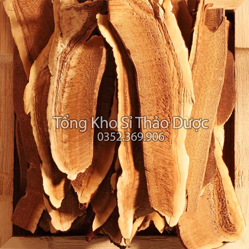Nấm linh chi hàn quốc 1kg (Nấm linh chi đỏ, ổn định huyết áp, tăng cường miễn dịch)