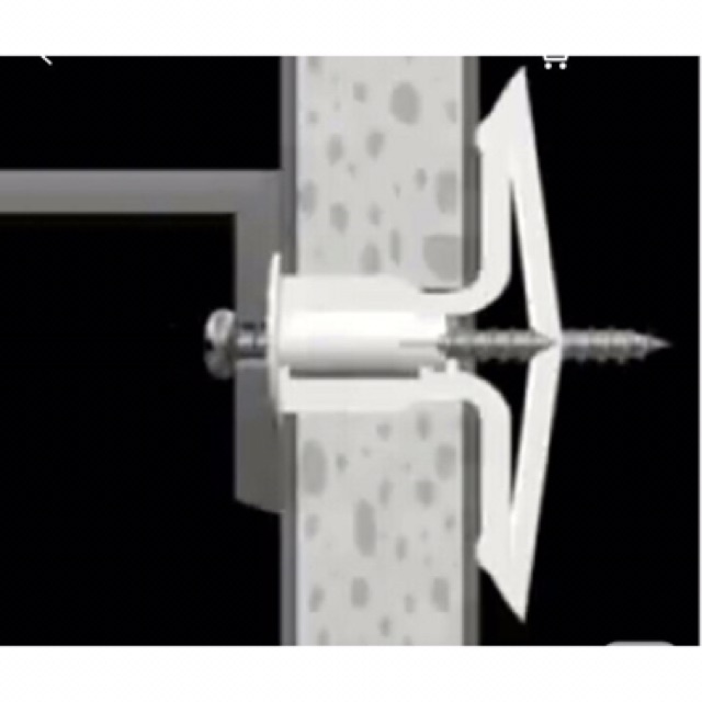 Tắc kê bướm 1 con 8 Ly