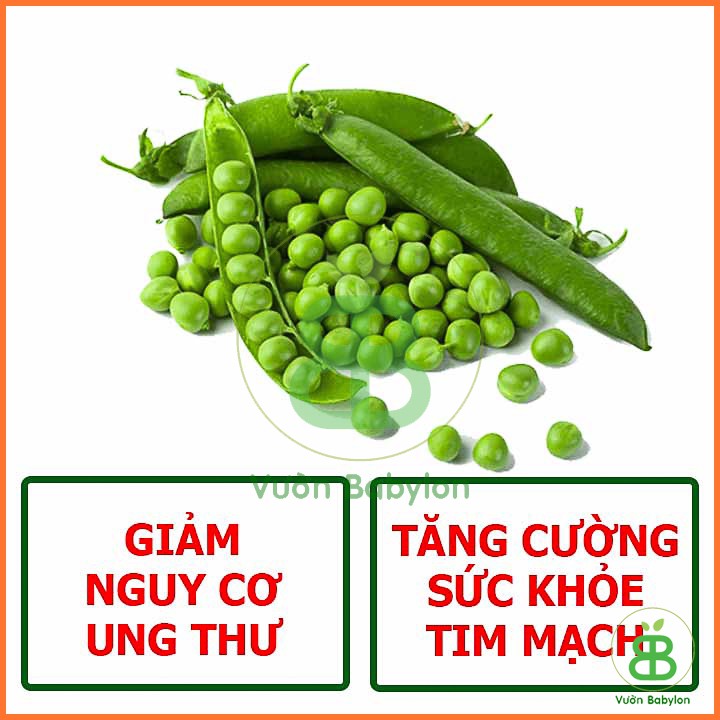 Hạt Giống Đậu Hà Lan Xanh 50G