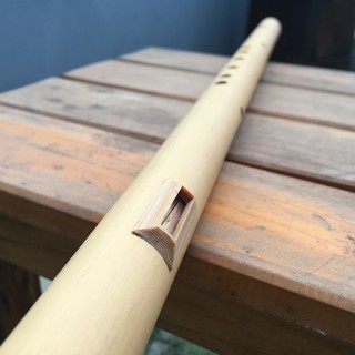 Sáo Mèo Nam