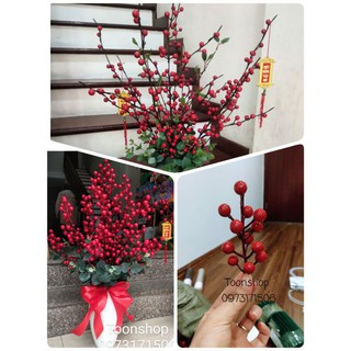 Cụm đào đông đỏ xốp BÓNG ĐẸP, cụm quả đỏ cây bonsai