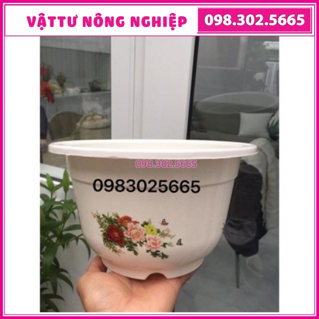 Chậu hoa bốn mùa trồng cây kt:25x17