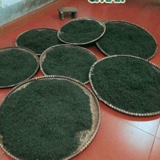 Chè khô sạch Thái NGuyên