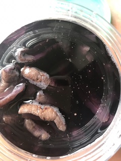 BA KÍCH TÍM QUẢNG NINH ( hộp 1kg ngâm rượu)