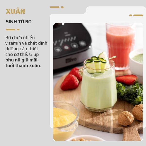Máy Làm Sữa Hạt OLIVO CB20 - Thương hiệu Mỹ - Bảo Hành Chính Hãng 24 Tháng