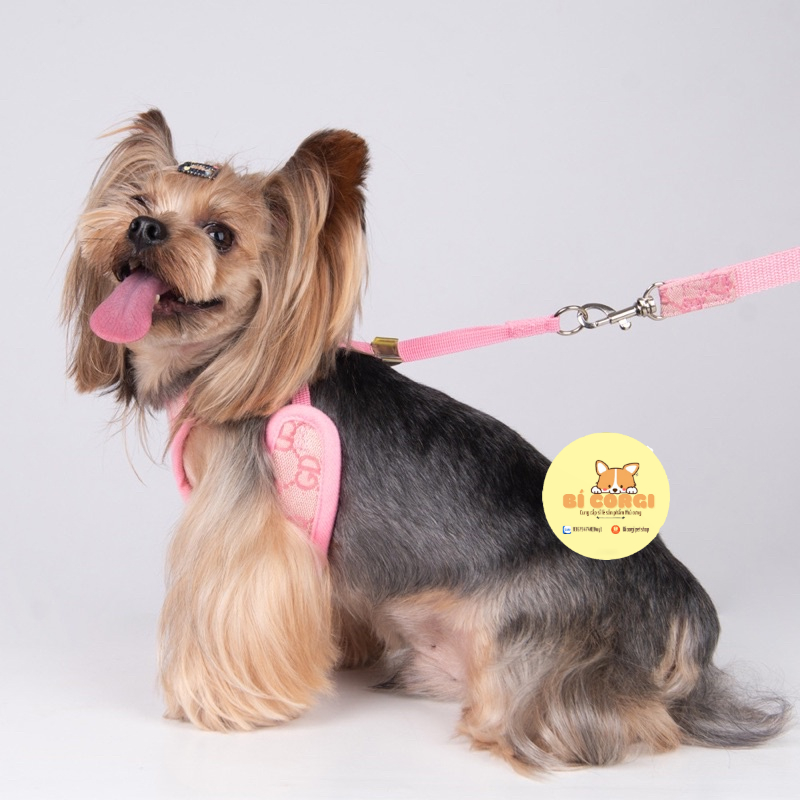Dây dắt chó mèo đi dạo, dây nịt ngực cho thú cưng LUXURY, lưới ngực lưng thoáng khí