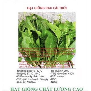Hạt giống rau cải trời - gói 100 hạt