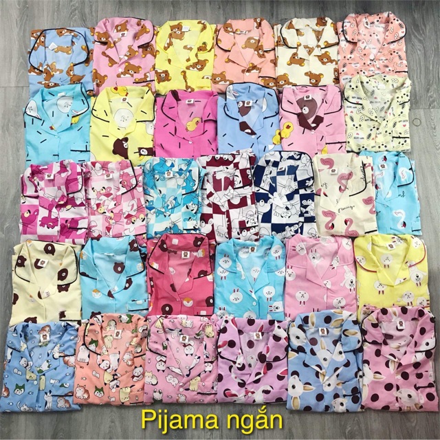 Bộ ngũ pizama