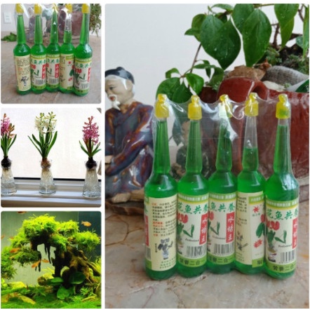Dung dịch Thủy Canh dùng cho cây thủy sinh