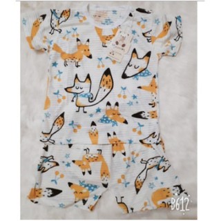 combo bộ cotton giấy cho bé