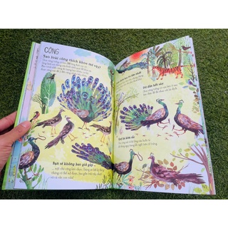 Sách - A Lê Hấp! Thế Giới Chim - Bình Book