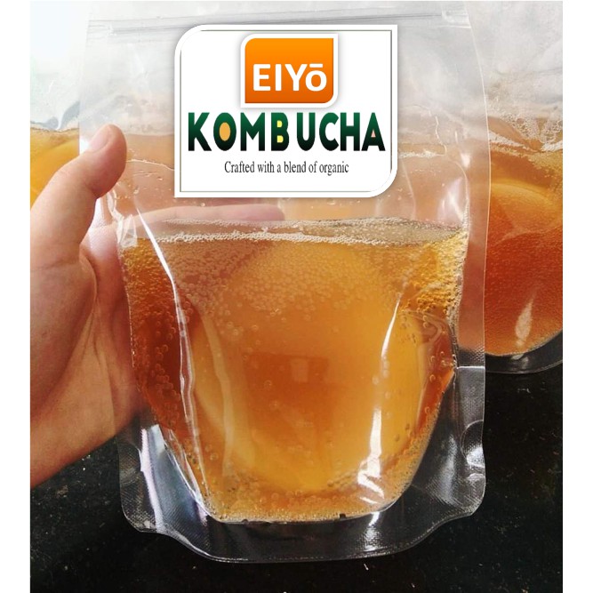 Giống SCOBY ORGANIC Làm Trà Kombucha ( Sản phẩm của EIYO TEA - Nuôi cấy theo công nghệ Nhật Bản ).