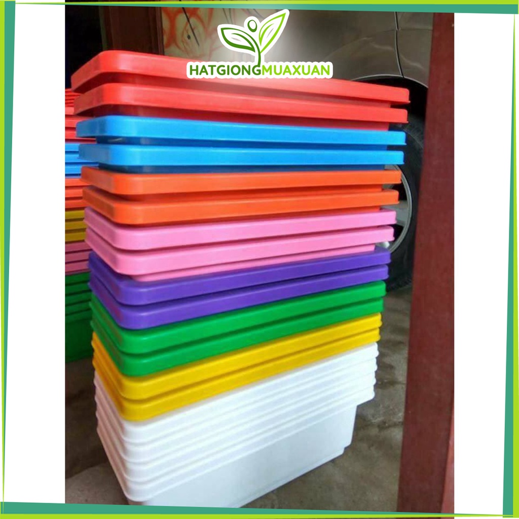 Combo 10 chậu nhựa thông minh 48x21cm màu tùy chọn siêu đẹp