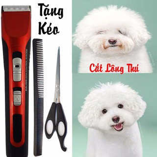 Tông đơ cắt tóc DALING DL 1001 ST2S553