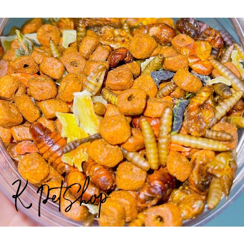Thức ăn cho nhím 🦔 Hạt khô Full Nutro Nhím