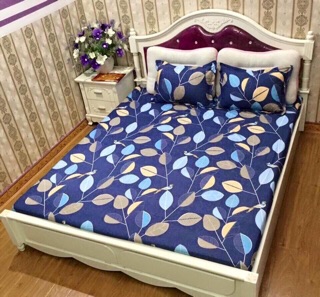 GA CHUN VÀ VỎ GỐI POLY COTTONG