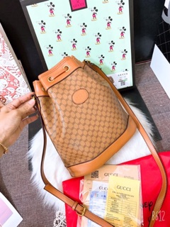 Túi gc rút mickey fullbox