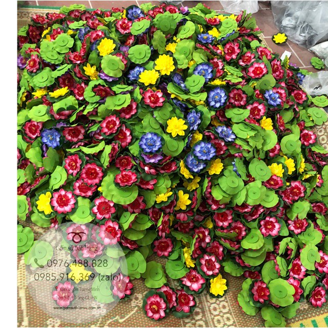 Hoa sen thả nổi trang trí phong thuỷ non bộ, tiểu cảnh, hoa thả bát sen