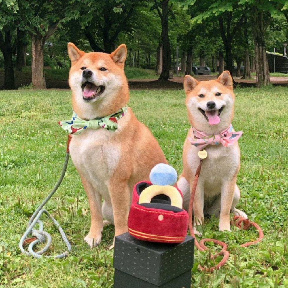 LET Đồ chơi nhồi bông Mềm Mại Có Âm Thanh Cho Thú Cưng