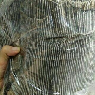 500g đỗ trọng