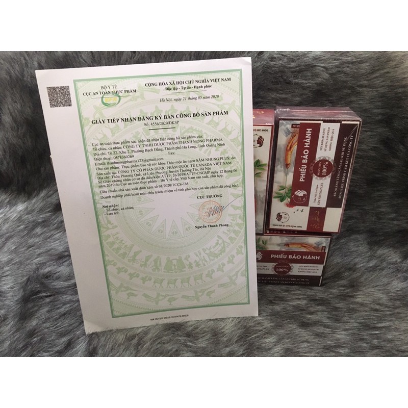 Tăng cân Sâm nhung plus 60v [ Kèm Thẻ Bảo Hành Không Tăng Hoàn 100% ] | BigBuy360 - bigbuy360.vn