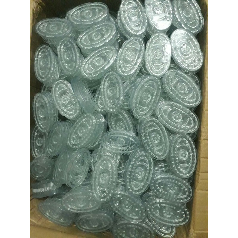 Chuyên Sỉ Lược Chải Thông Vùng Đầu