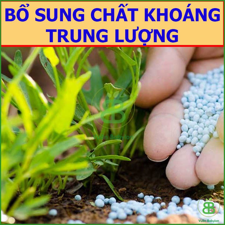 Phân bón rễ Thái Lan canxi silic