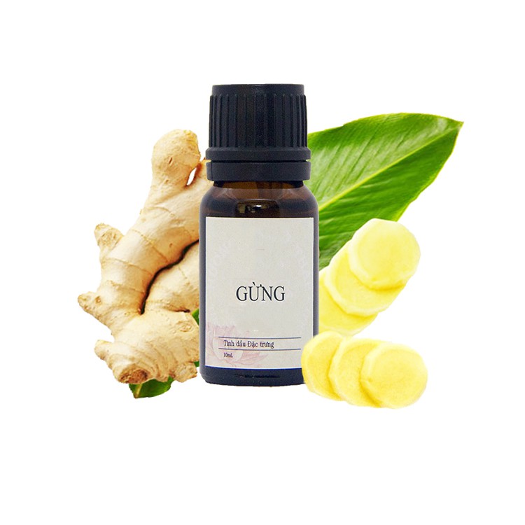 Tinh Dầu Gừng 10ml Tinh Dầu Thiên Nhiên (Hàng Hót 2021)