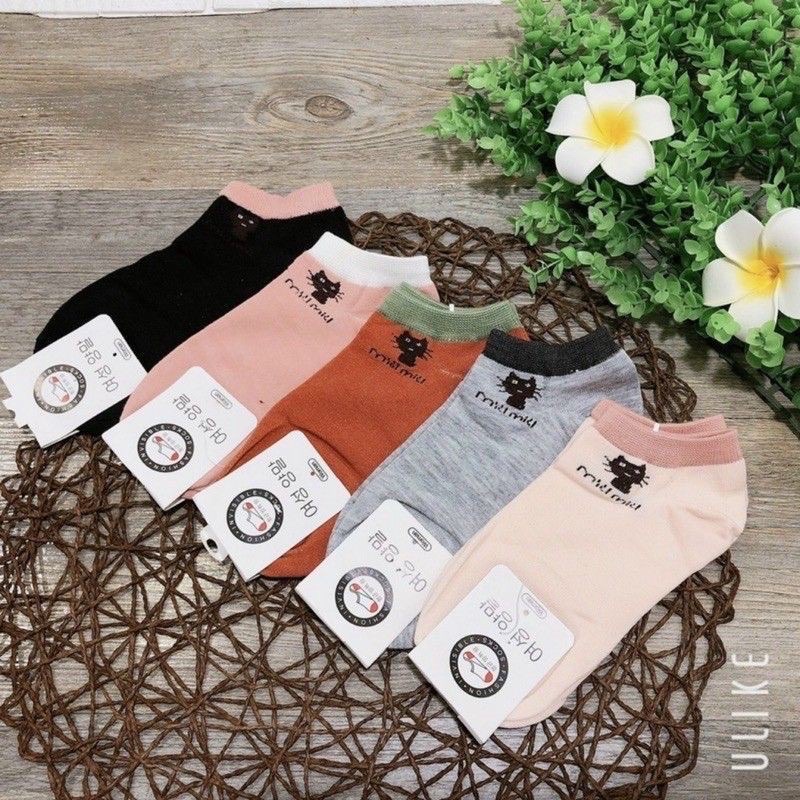 Tất vớ nữ cổ ngắn cotton hoạ tiết mèo Miu Miu phong cách Hàn Quốc