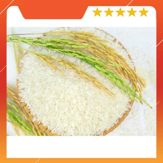 Gạo thơm lài 5kg - Gạo dẻo mềm ngọt cơm