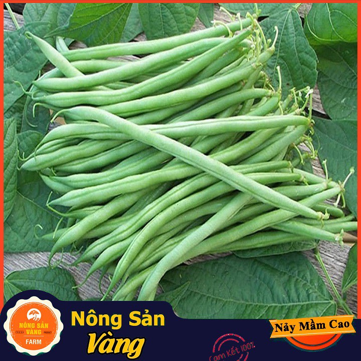 Hạt giống Đậu Cove Hạt Đen Dễ Trồng ( Gói 20 Gram ) - Nông Sản Vàng