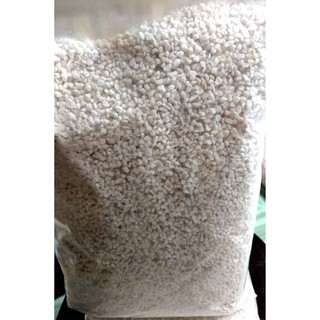 Đá trân châu đá Perlite trồng sen đá cây cảnh 1kg