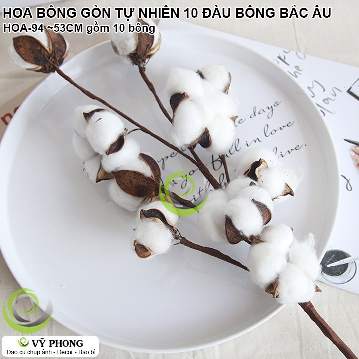 HOA BÔNG GÒN TỰ NHIÊN 10 ĐẦU BÔNG 1 CÂY PHONG CÁCH BẮC ÂU NORDIC TRANG TRÍ NHÀ CỬA ĐẠO CỤ CHỤP ẢNH SẢN PHẨM INS HOA-94