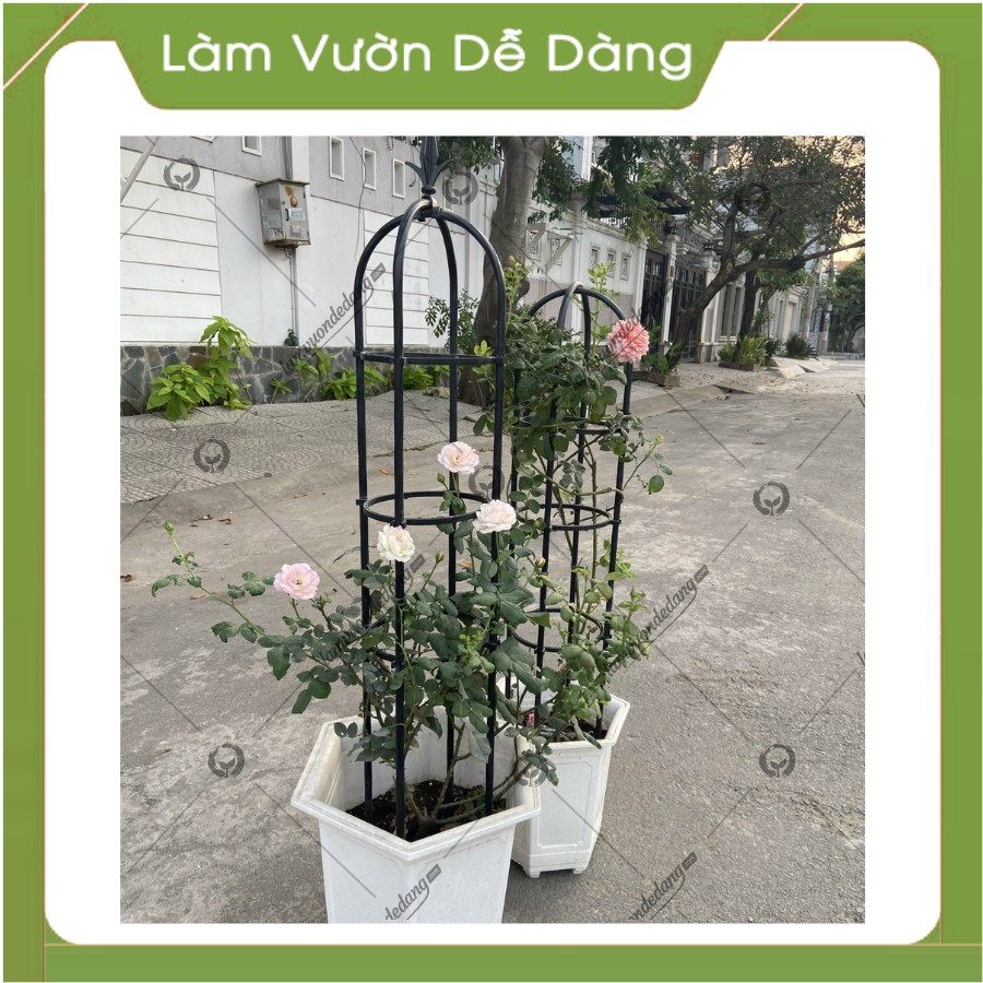 Khung Đỡ, Giá Đỡ Hoa Hồng Leo, KHUNG THÁP CHUÔNG 1.2m