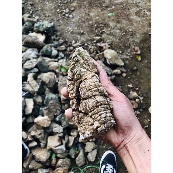 Đá Da Voi mini siêu vân 1kg