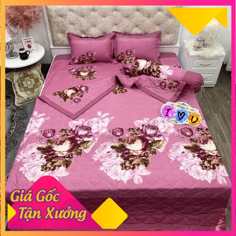Bộ chăn hè trần bông ga gối 5 món poly cotton hàng loại 1 được chọn mẫu