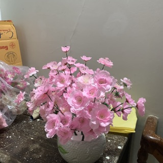 Cành anh đào mini