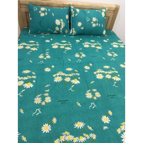 Drap Thắng Lợi 30 mẫu xuất siêu thị 1m6x2m & 1m8x2m nệm 3-17cm 4 món xịn | BigBuy360 - bigbuy360.vn