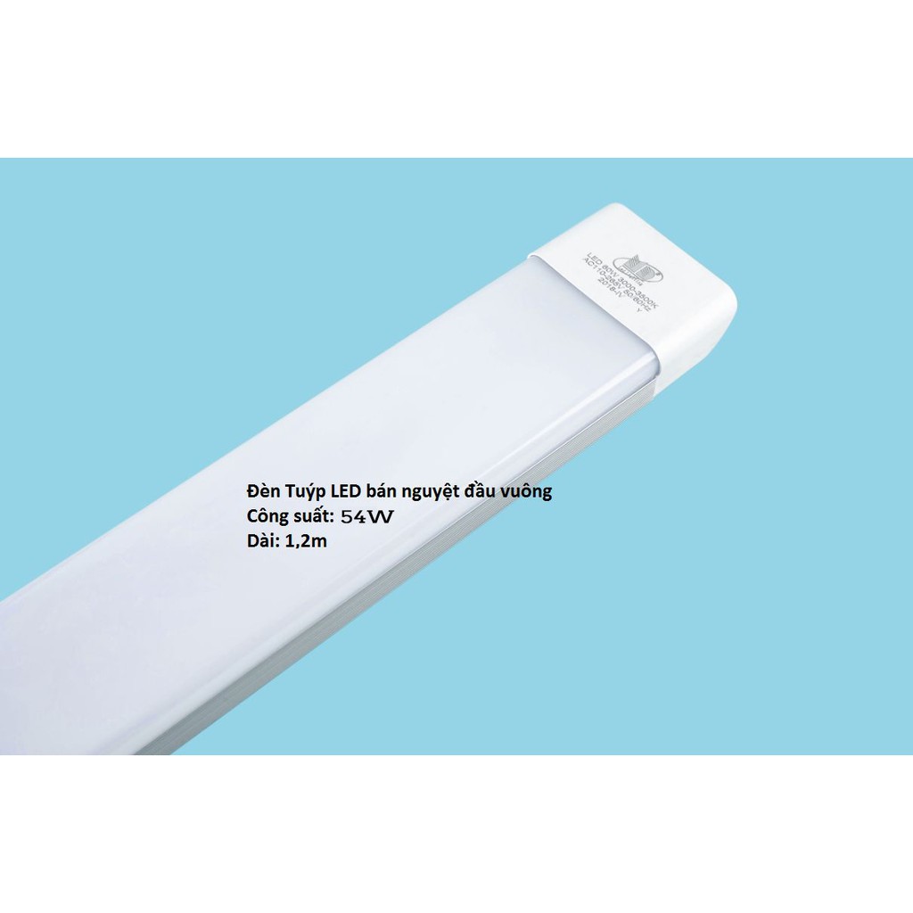Đèn tuýp Led MONSKY bán nguyệt đầu vuông 60W siêu sáng - TL300