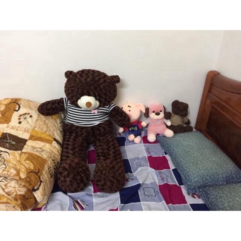 Gấu Teddy kích thước 1m1 siêu đáng yêu ôm siêu phê