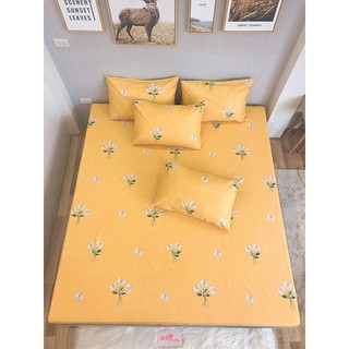 1.GA GỐI LẺ COTTON LỤA ( ẢNH SHOP TỰ CHỤP)