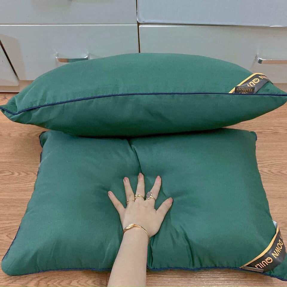 1 đôi Ruột gối Hilton hàng Việt Nam xuất khẩu size 45-65cm