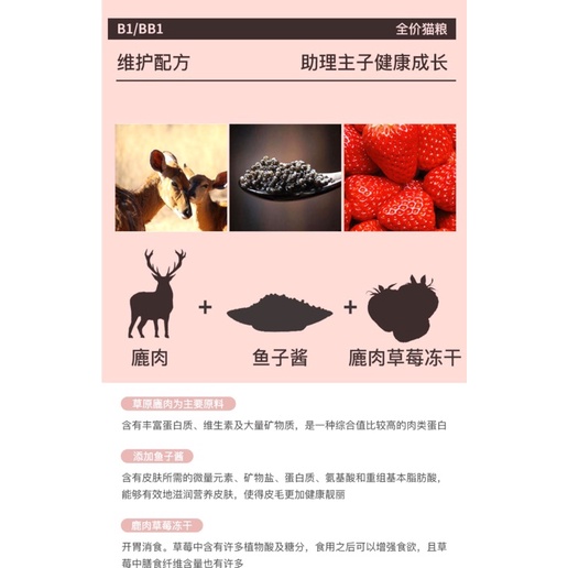 Hạt cho mèo Teb B Thức ăn cho mèo tăng cân Grain Free với thịt sấy khô cao cấp NourseVietnam