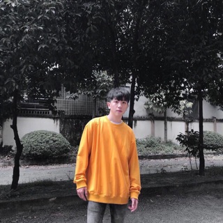 ÁO SWEATER NỈ BÔNG BASIC TRƠN NHIỀU MÀU CAO CẤP