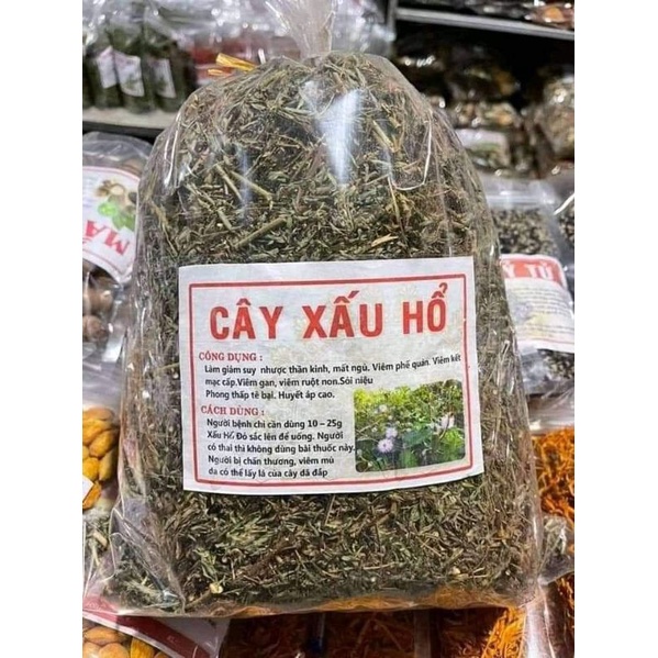 1 Kg Cây Xấu Hổ Tím  giúp an thần.lợi tiểu