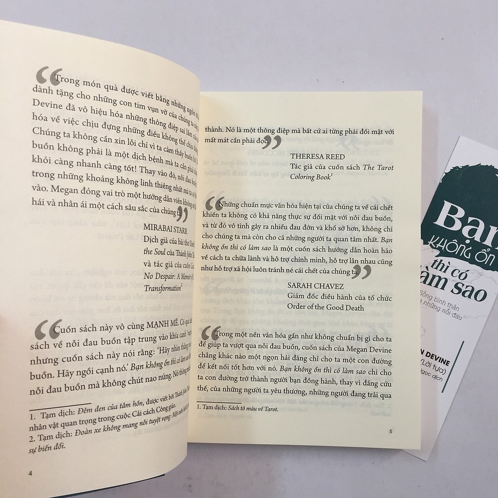 Sách: Bạn Không Ổn Thì Có Làm Sao – Sống Bình Thản Giữa Những Nỗi Đau