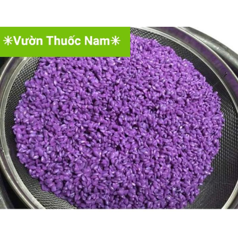 Cây lá cẩm tím dùng nhuộm màu thực phẩm cây giống