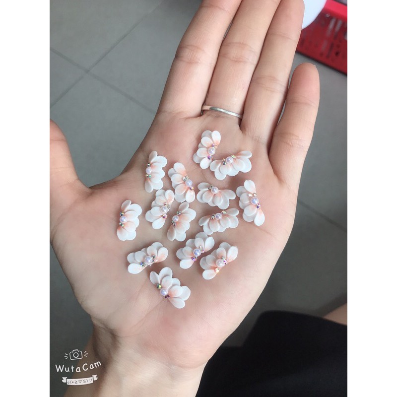 Hoa bột nail giá 1 cặp