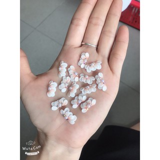 Hoa bột nail giá 1 cặp