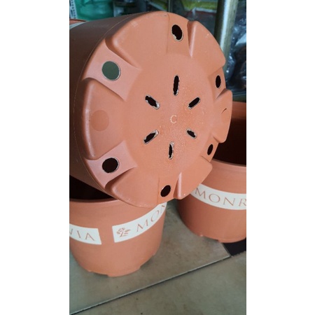 chậu MONROVIA 5GL trồng hoa hồng siêu đẹp đường kính 27cm